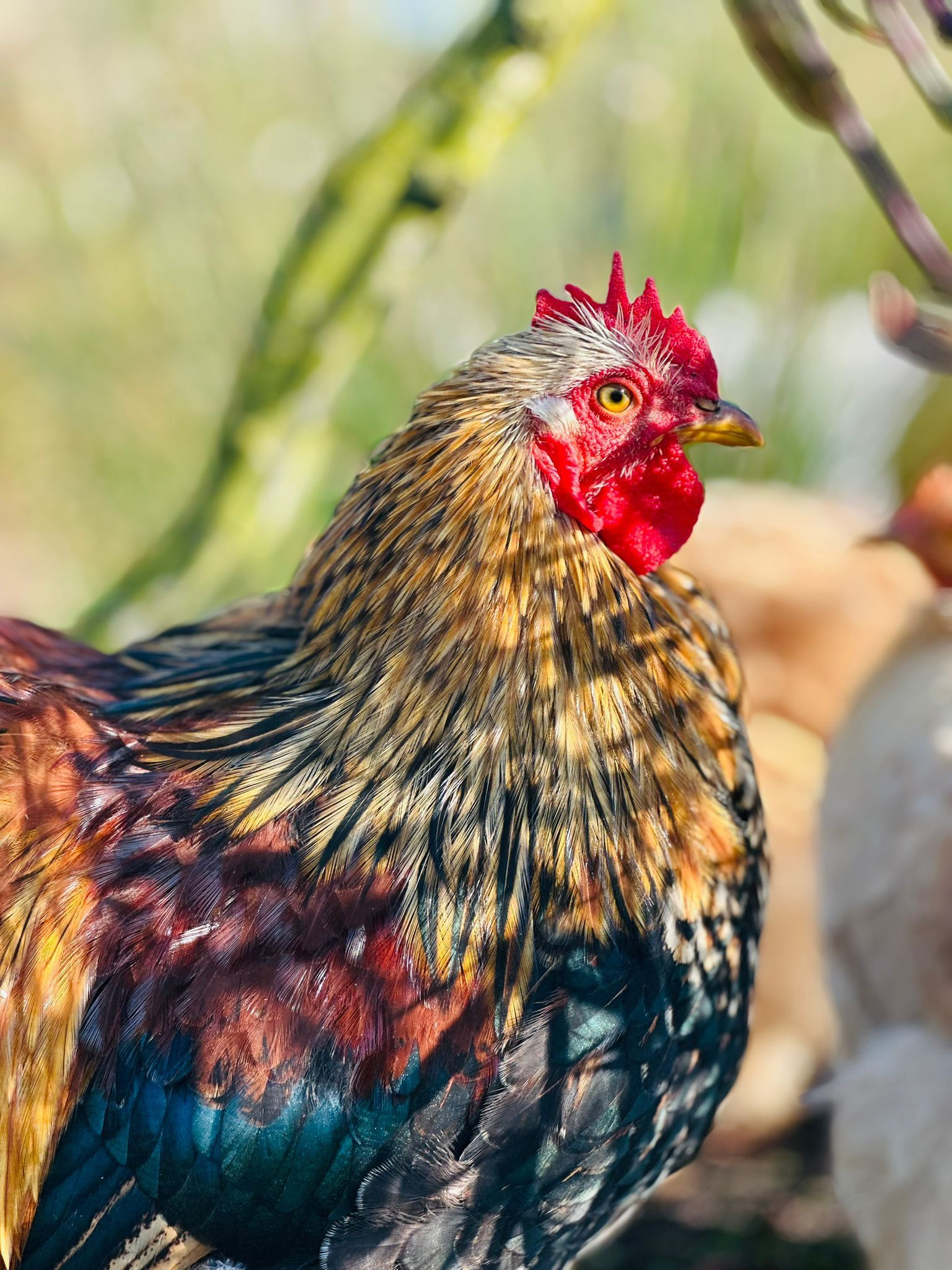 photo - Weidezicht | Bed - Beauty - Balance