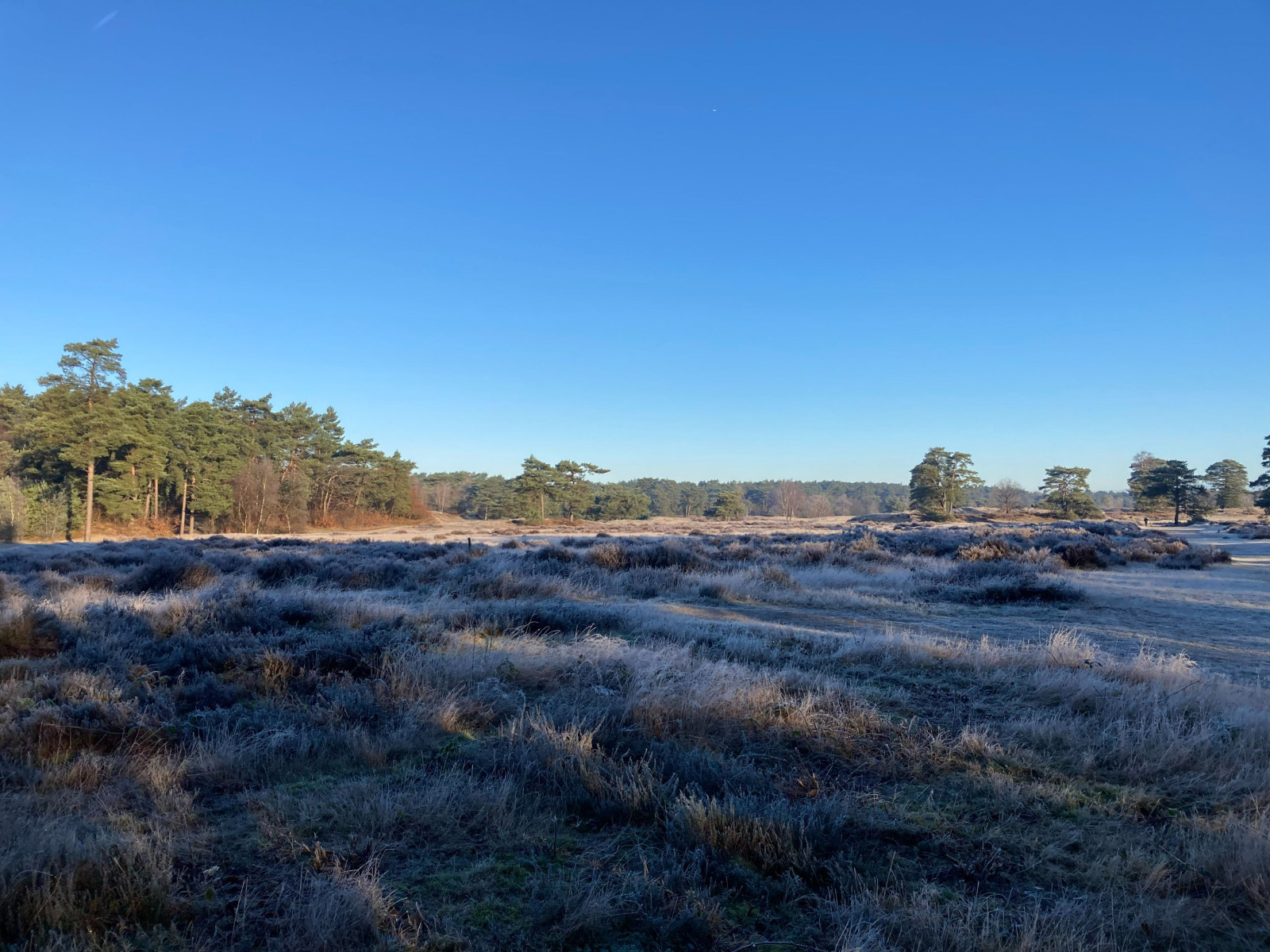 photo - Weidezicht | Bed - Beauty - Balance