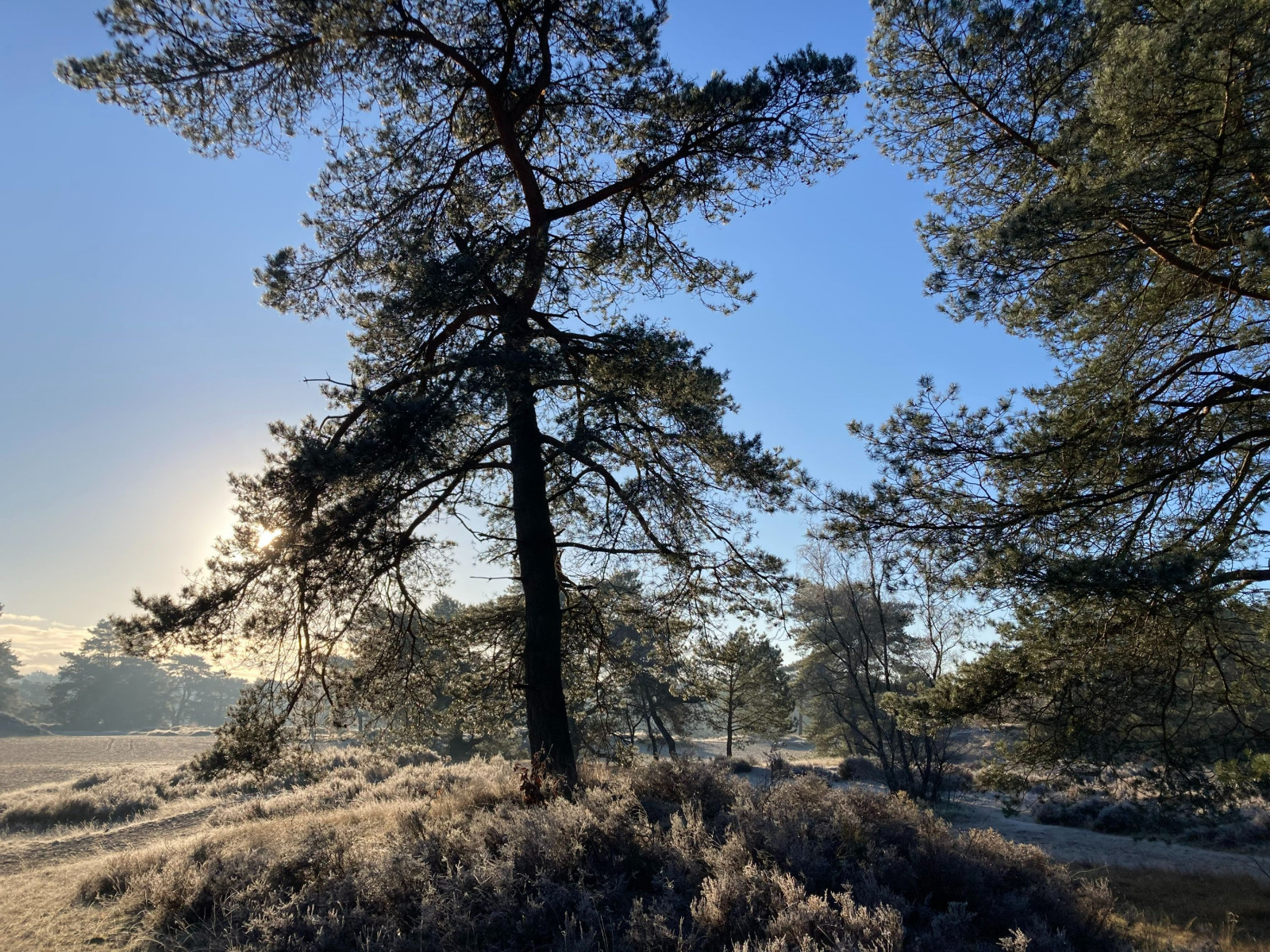 photo - Weidezicht | Bed - Beauty - Balance